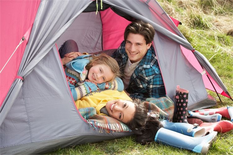 לחגוג עם נמרים 2