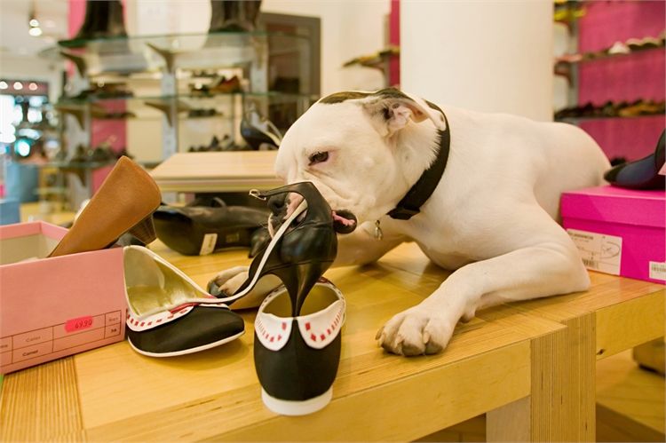 הפדיחה הכי גדולה בחתונה 3