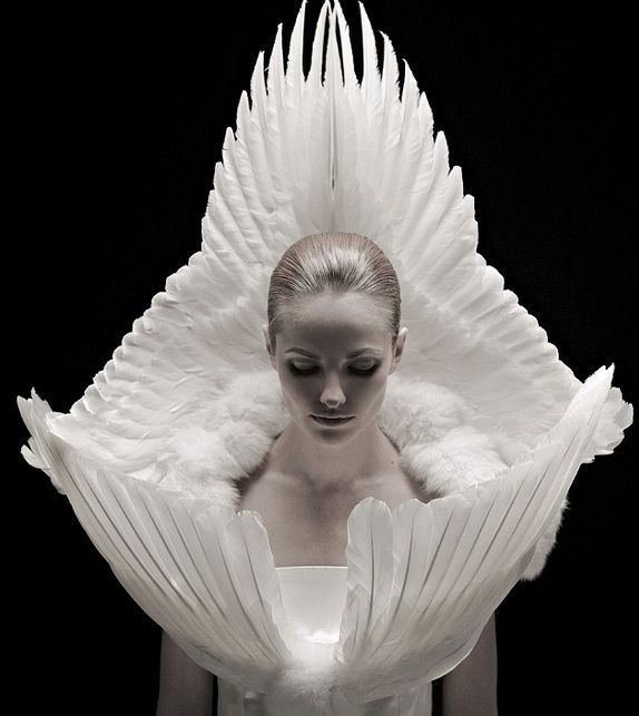 הכלה שהתחפשה לאווזה 2