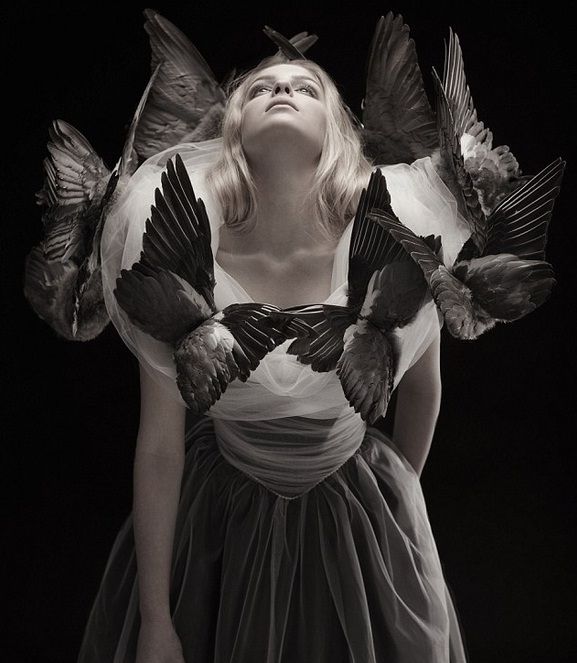 הכלה שהתחפשה לאווזה 3