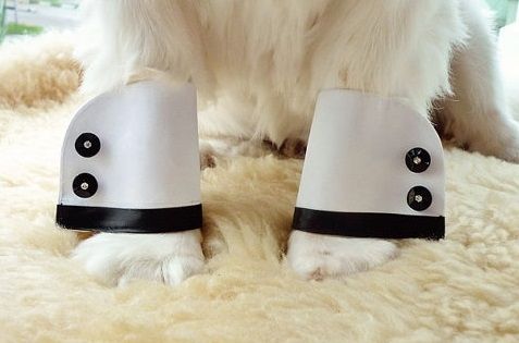 לא כמו כולן: פריטים מגניבים לחתונה 7