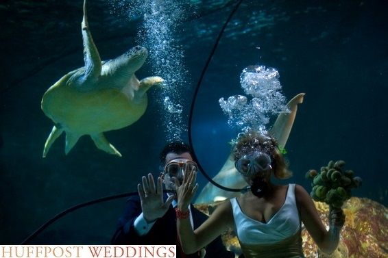 אפילו המוות לא יפריד: חתונה על צוק 4