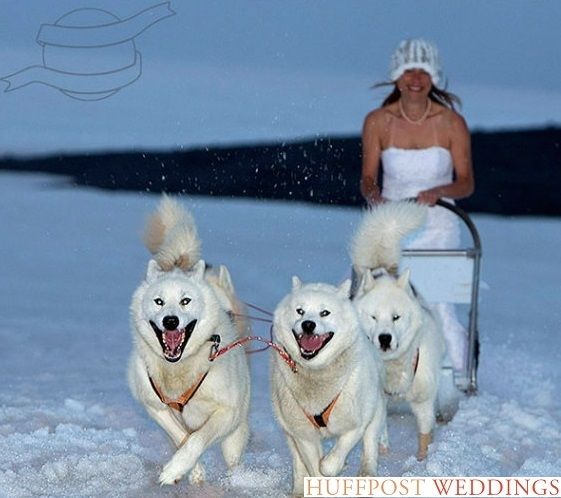 טופ 10: קטעי החתונה הכי ויראליים 5