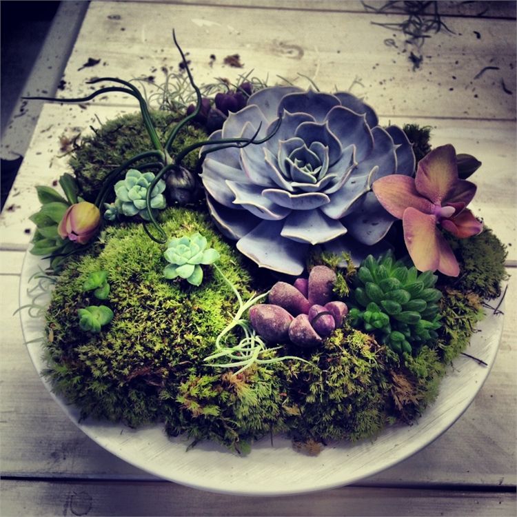 הטרנדים הכי חמים בעיצוב החתונה 3