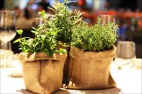 לעצב סוכה בסטייל של חתונה טרנדית