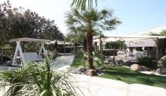 מקומות לחתונה קטנה - אקויה AKOYA