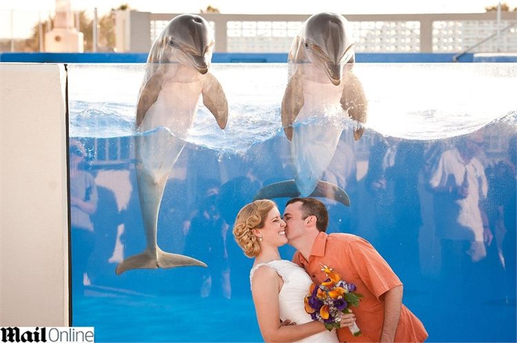 לוקיישנים מטריפים להתחתן בהם 2