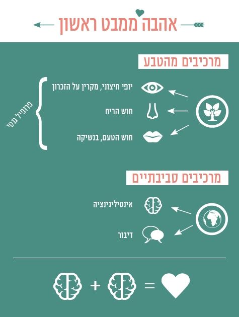 יש דבר כזה אהבה ממבט ראשון? 2