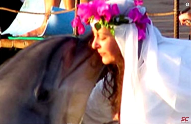 נשבענו זה לזו: חתונות בין חיות 3