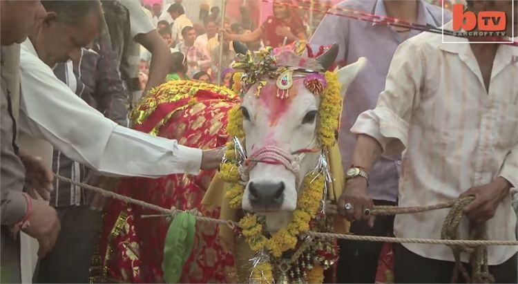 נשבענו זה לזו: חתונות בין חיות 9