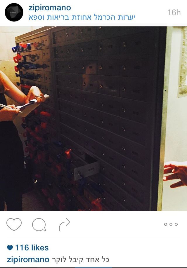 הצצה אל תוך החתונה של בר רפאלי 10