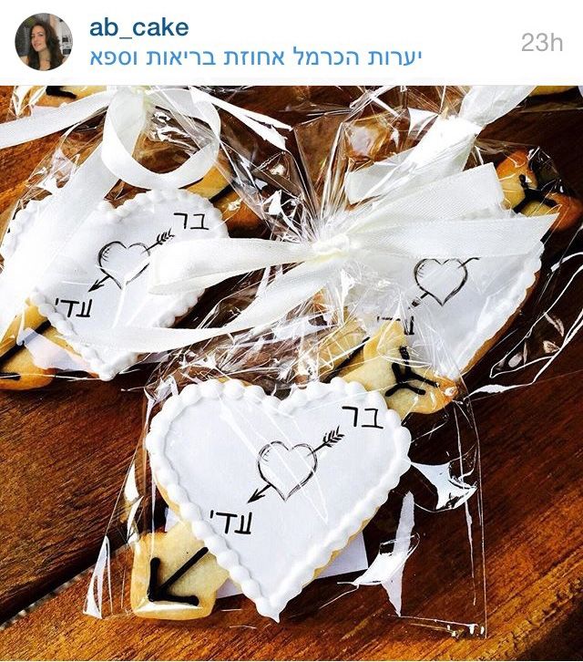 הצצה אל תוך החתונה של בר רפאלי 11