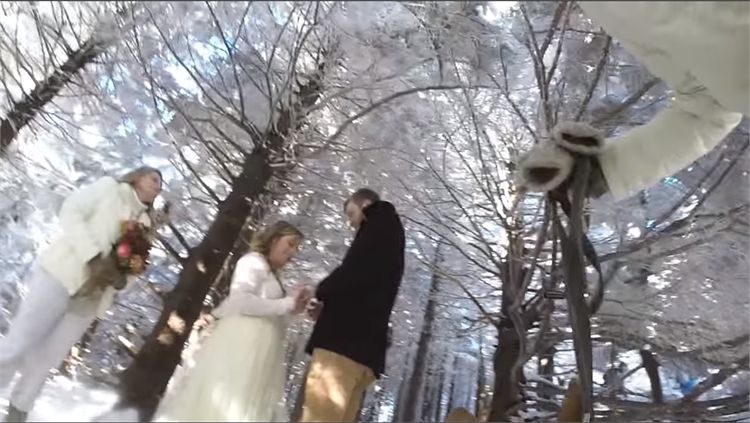 'הב הב', כלבה צילמה סרטון חתונה 3