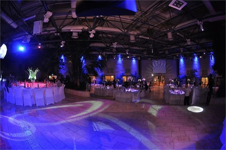 אבנים ירושלמיות בכל מקום, פטיו (צילום: יח