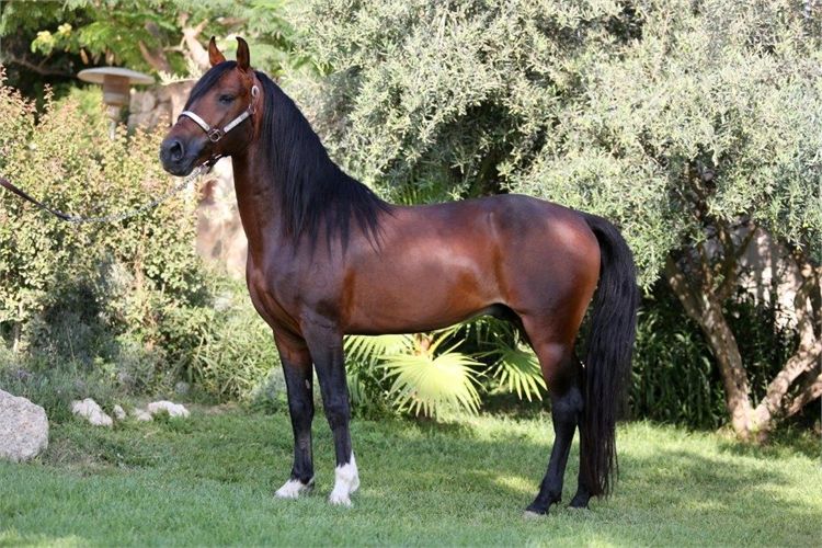 בטבעת זו: חתונה במקומות לא שגרתיים 4