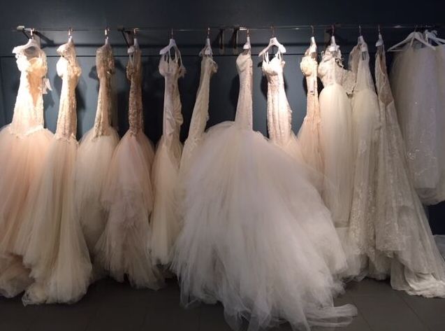 גליה להב מציגה: חנות חדשה בבוורלי הילס 7