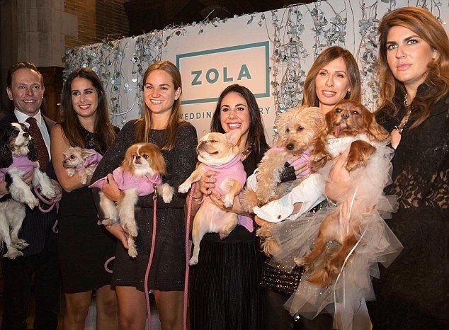 כל כלב בא יומו: כוכבי האינסטגרם בדרך לחופה 5