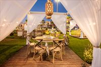 הזרקור: אירועים חוף התמרים עכו