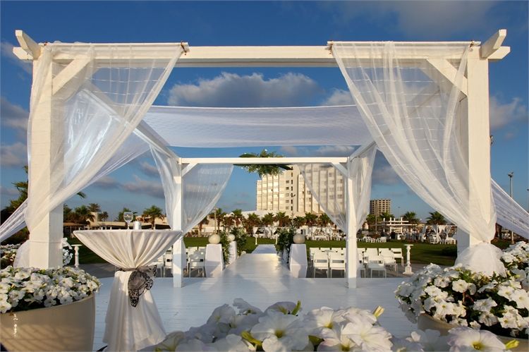 הזרקור: אירועים חוף התמרים עכו 4