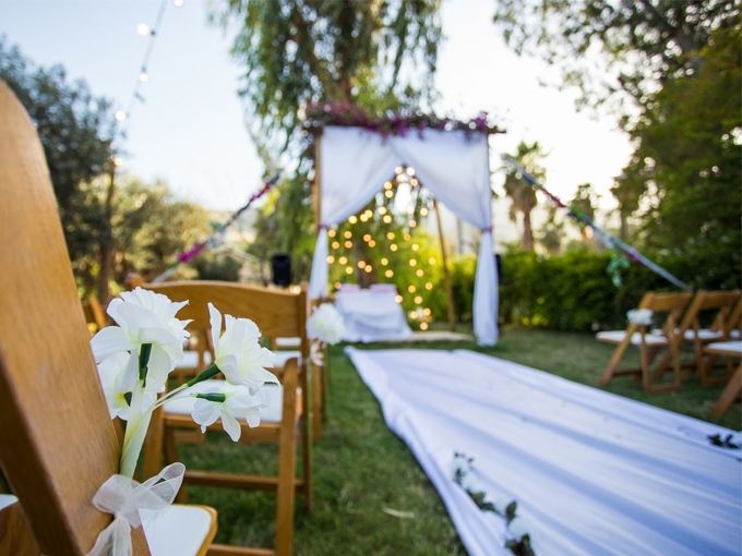 הזרקור: ללוס 2