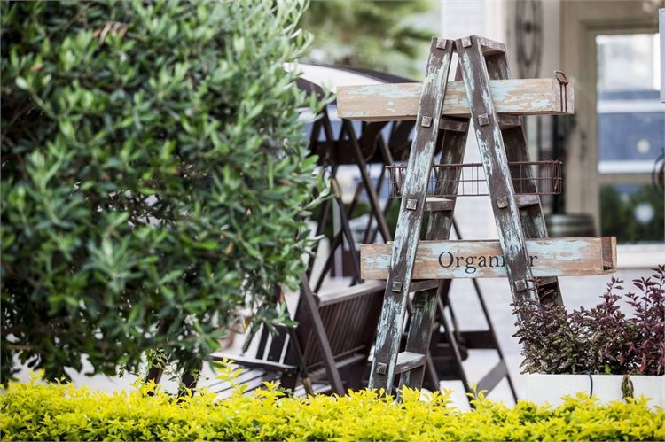 הזרקור: מתחם אירועים קסליו 4