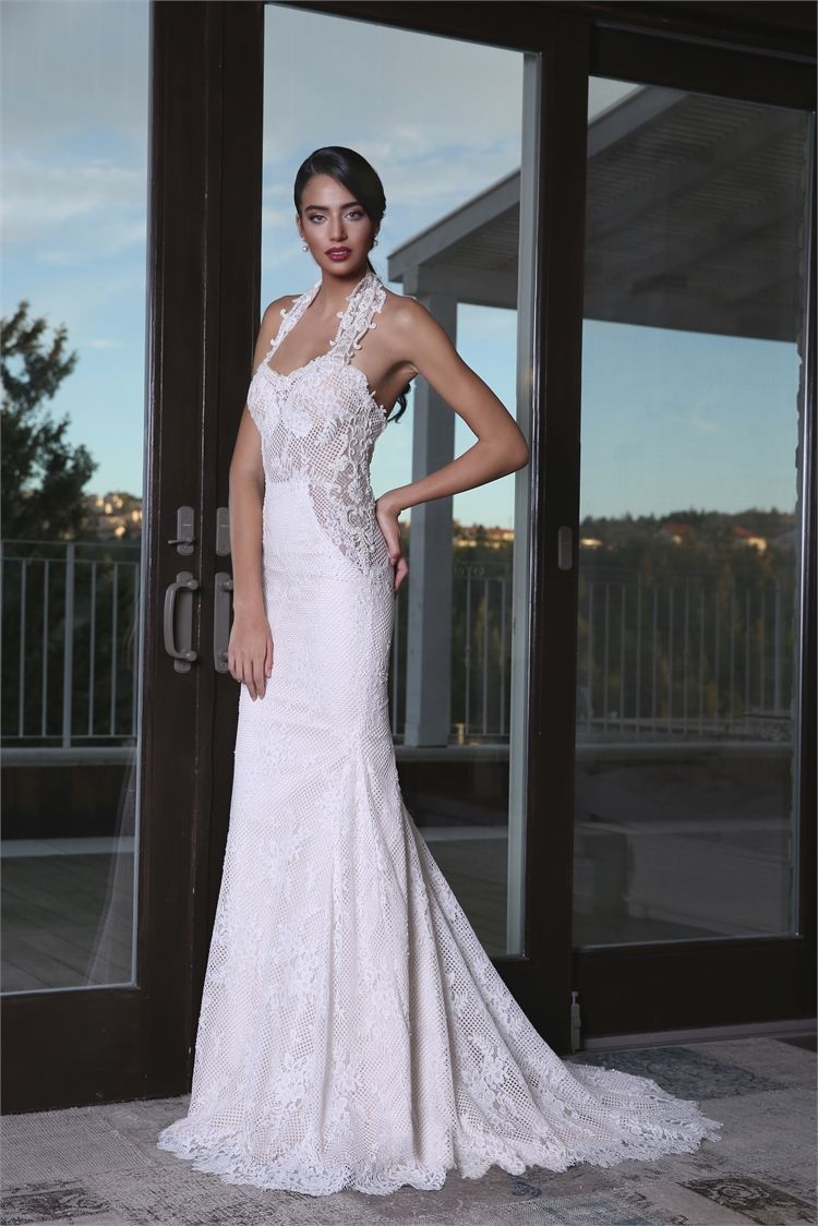 הזרקור: מיכל אזולאי 2