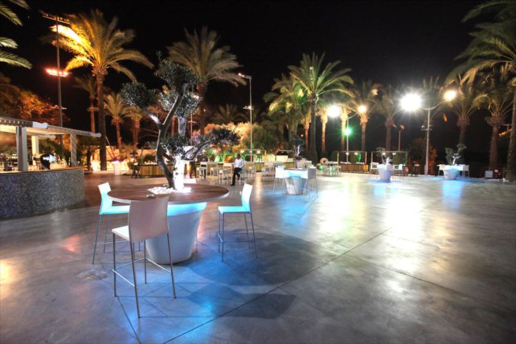 הזרקור: מנגינות 2