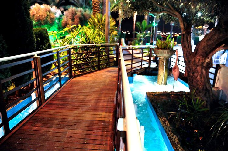 הזרקור: מנגינות 3