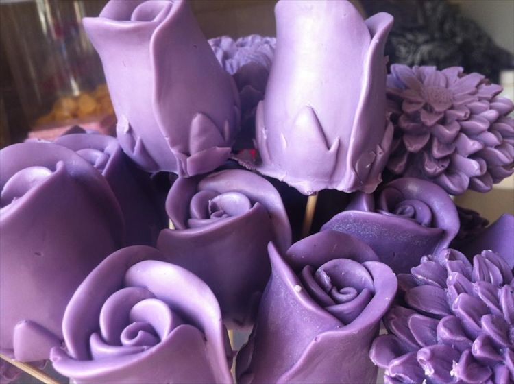 הזרקור: shellis שלי יהודאין 3