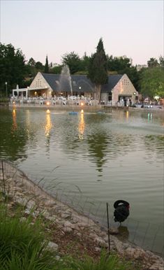 קפית בגן הבוטני