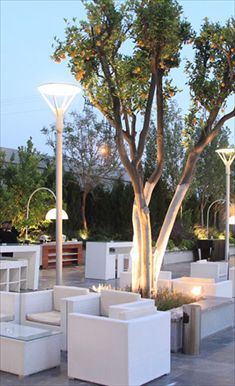 קדמא נווה אילן