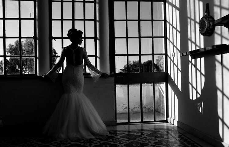 תמונות בלתי נשכחות מהיום הגדול (צילום: אושן צלמים)