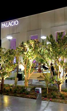 פאלאסיו-PALACIO