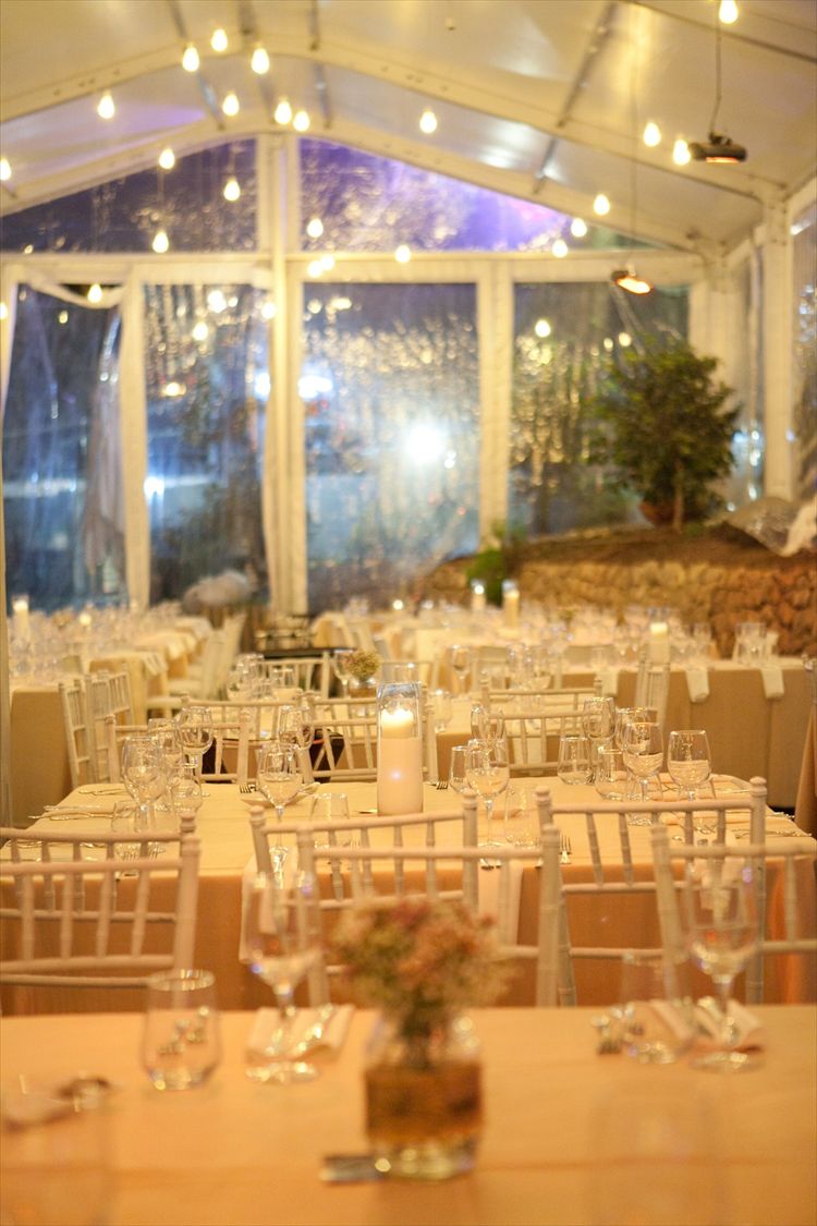 כלה ביום: סלעית מוזס 14