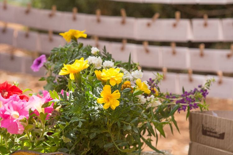 הזרקור: מלון אמירי הגליל 5