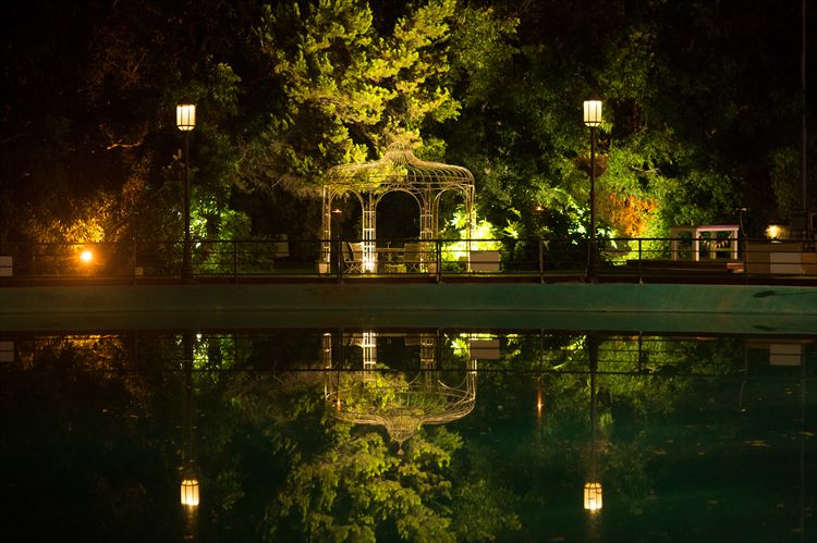 כלה ביום: נטלי יפתח 9