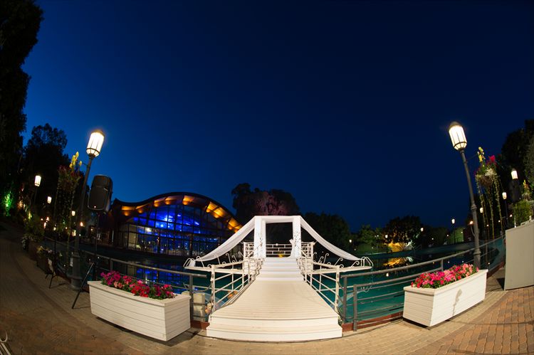 כלה ביום: נטלי יפתח 7