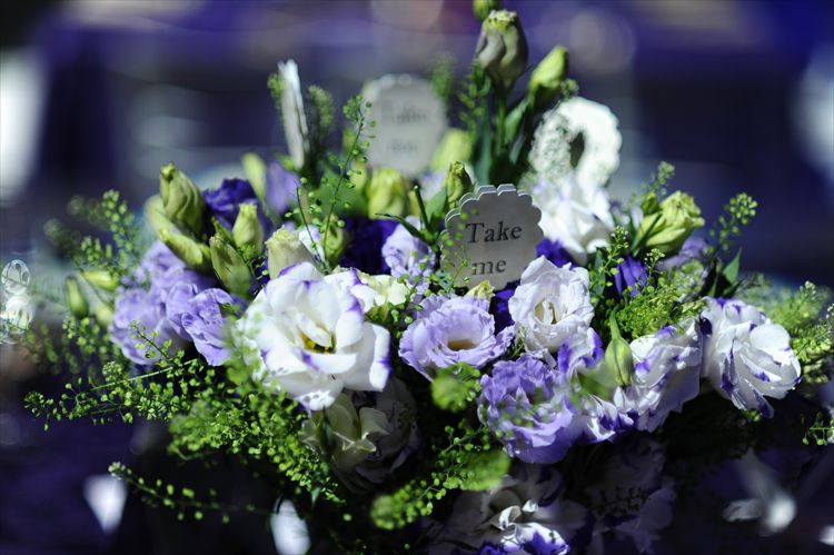 הזרקור: מפיקת האירועים מיכל ברמן 2