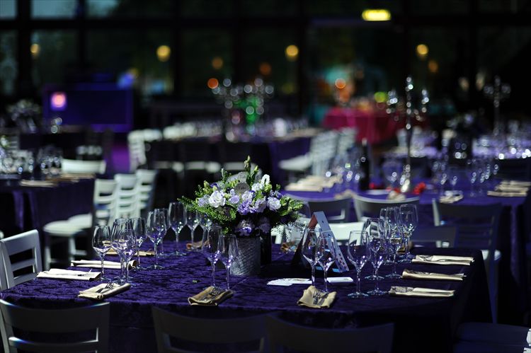 הזרקור: מפיקת האירועים מיכל ברמן 3