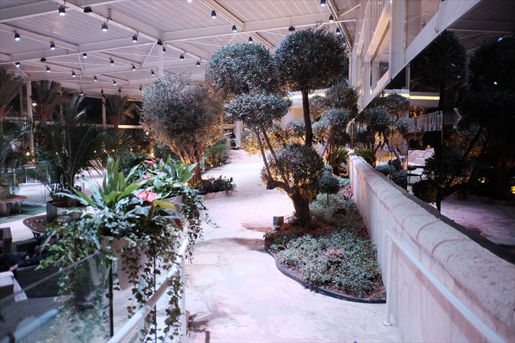 המגרש של החיים: אופיר קריאף התחתן 6