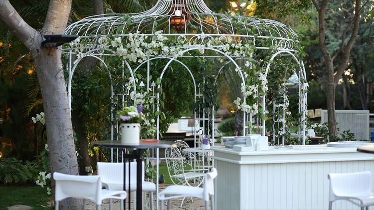 פתיחת עונת החתונות בירוק על המים 2