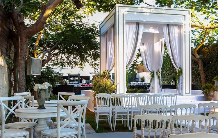 חתונה לא שגרתית בתל אביב 5