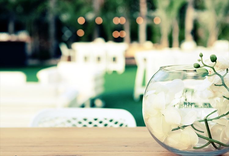 הבדל של שמים וארץ: חתונה באווירה כפרית 9