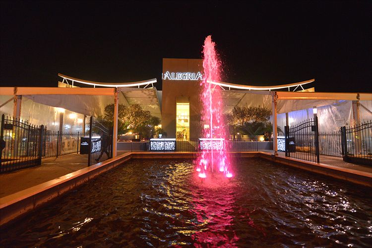 כלה ביום: אורית זרו 11