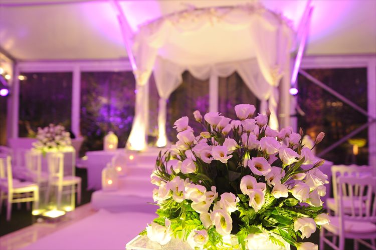 כלה ביום: סיון אור 5