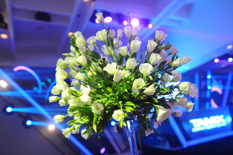 כלה ביום: סיון אור 11