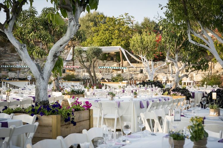 גן אירועים שטובל בצמחייה וירק, ארץ קדם (צילום: יחצ)