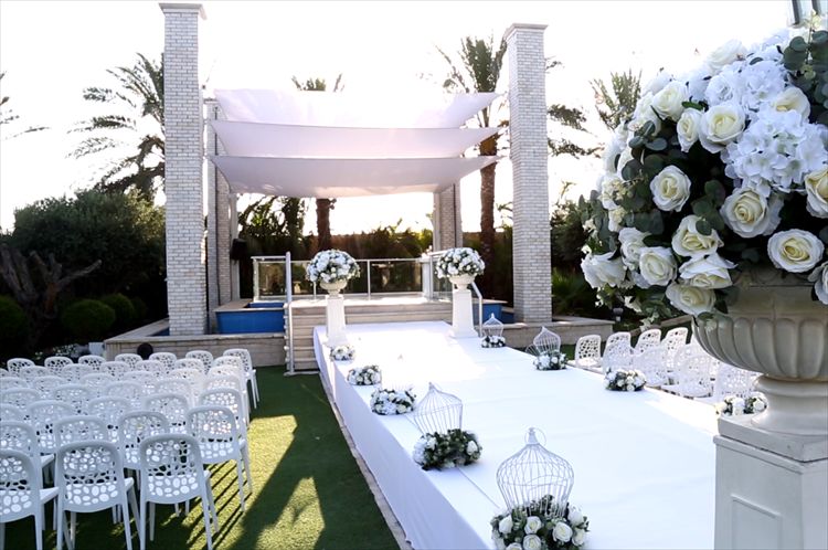 לאכול או להרים? החברים של ישראל אטיאס מברכים 6