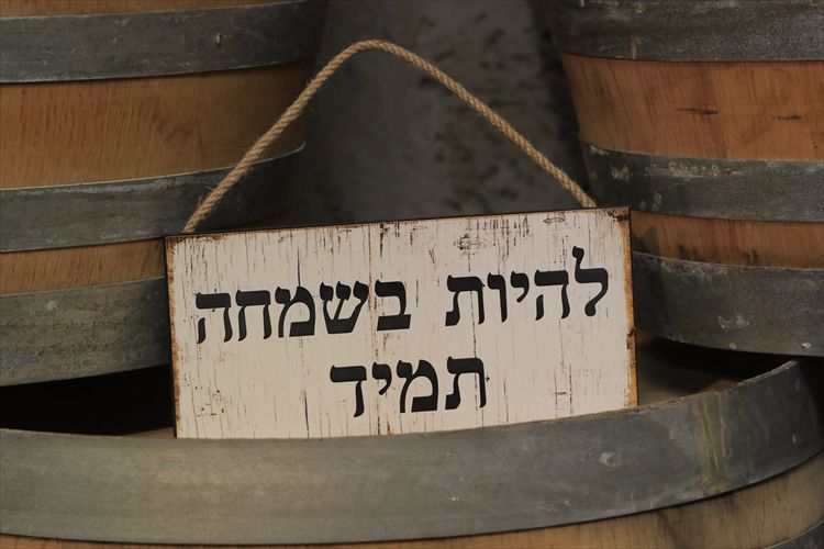 כלה ביום: הילה כוכבי 25