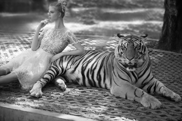 אוריה עזרן מציגה: גן עדן בלבן 2